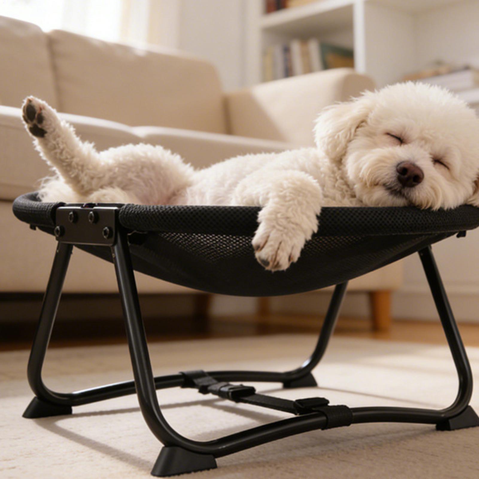 เตียงนอนสุนัขแบบพับได้ เปลนุ่ม - Outdoor Camping Dog Bed บทวิจารณ์และราคา