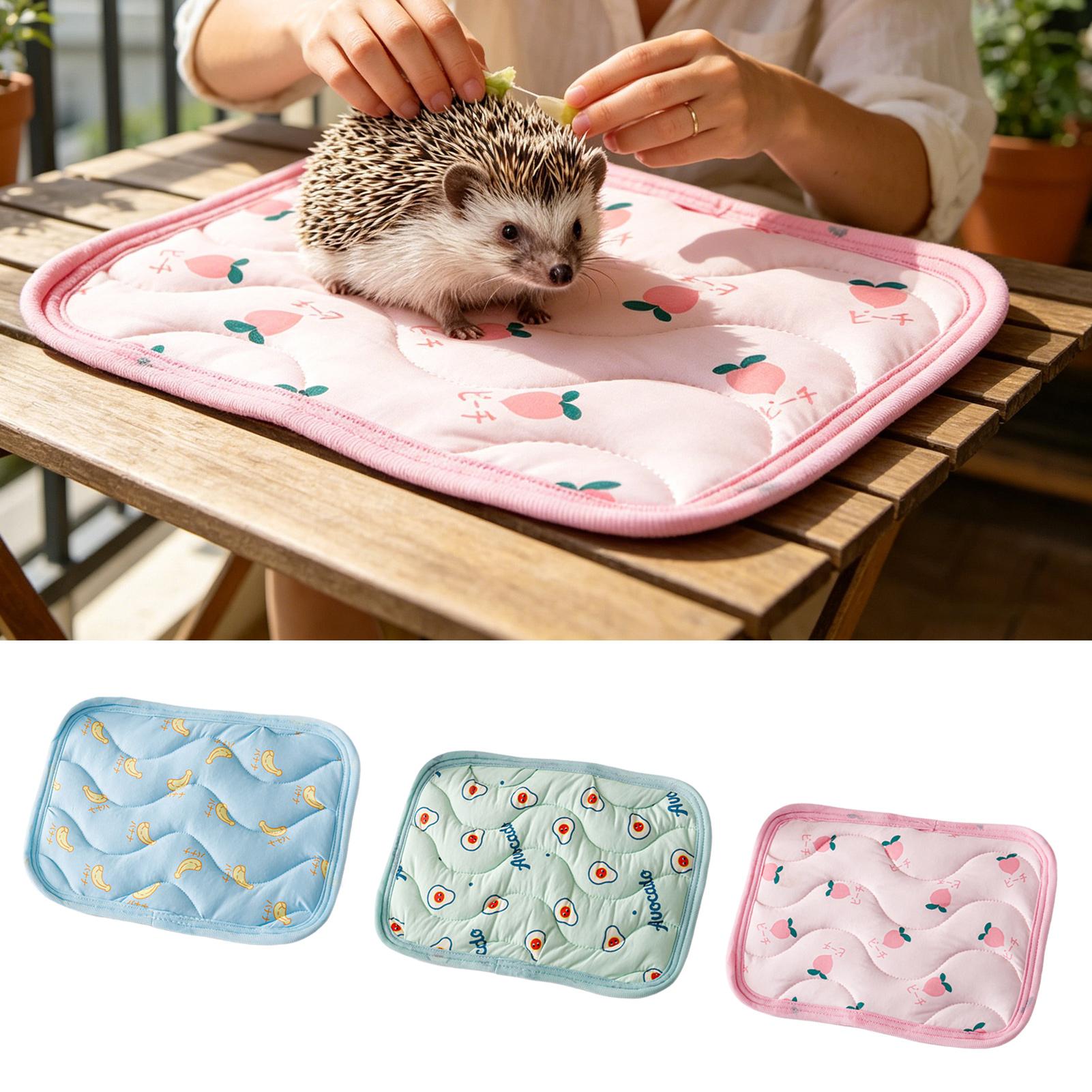 แผ่นรองนอนเย็นสำหรับสัตว์เลี้ย - Outdoor Camping Dog Bed บทวิจารณ์และราคา