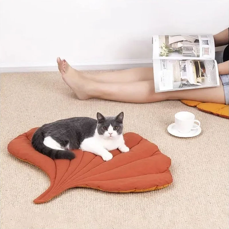 เบาะรองนอนสัตว์เลี้ยงแบบนุ่ม ก - Outdoor Camping Dog Bed บทวิจารณ์และราคา